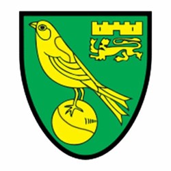 Norwich city