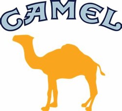 Old camel cigarette