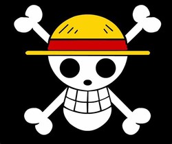 One piece pirate