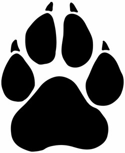 Panther paw print