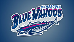 Pensacola blue wahoos