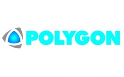 Polygon homes