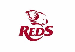 Queensland reds