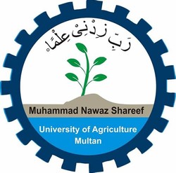 Sharif university