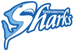 Sharks rugby