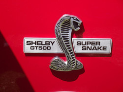 Shelby gt500 super snake