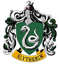 Slytherin house
