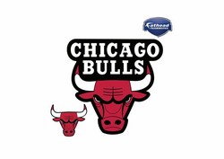 Small chicago bulls