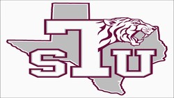 Texas southern university