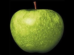 The beatles apple