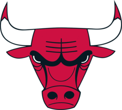 The bulls