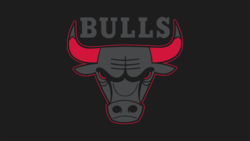 The bulls