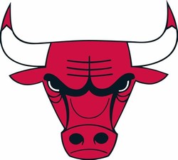 The chicago bulls