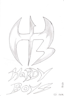 The hardy boyz
