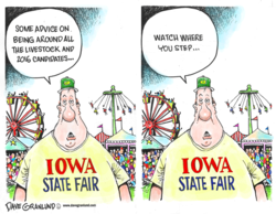 The iowa state fair