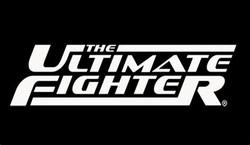 The ultimate fighter
