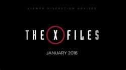 The x files
