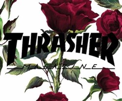 Thrasher roses