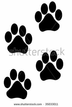 Tiger paw print