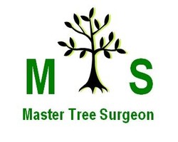Tree surgeon