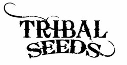 Tribal seeds