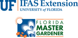 Uf ifas