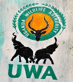 Uganda wildlife authority