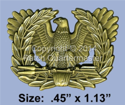 Warrant officer rising eagle