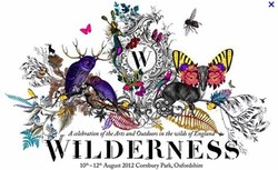 Wilderness festival