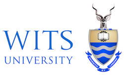 Wits university