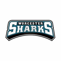 Worcester sharks