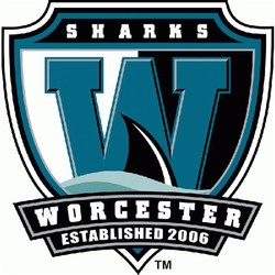 Worcester sharks