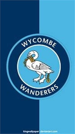Wycombe wanderers