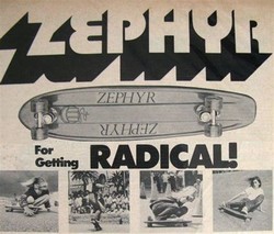 Zephyr skate team
