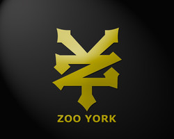 Zoo york skateboards